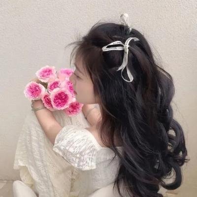 叔比狗:舞台风波海报