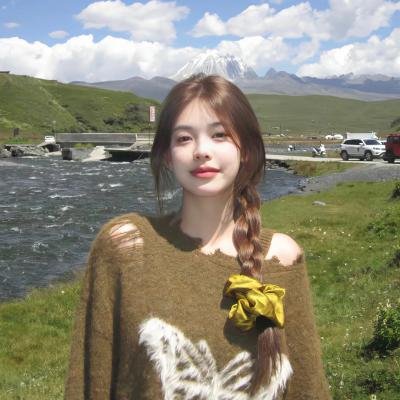 狮子军龙虎鬪海报